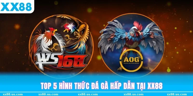 Top 5 hình thức nhiều thành viên tham gia nhất tại sảnh đá gà XX88